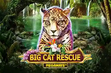 Big Cat Rescue Megaways